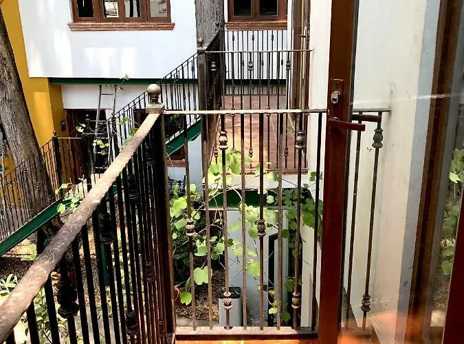 Casa Jacinta México DF